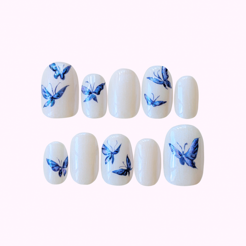 Ailes Saphir