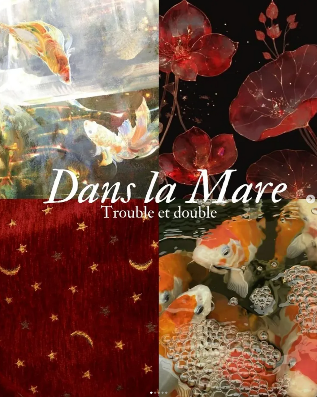 Dans la Mare