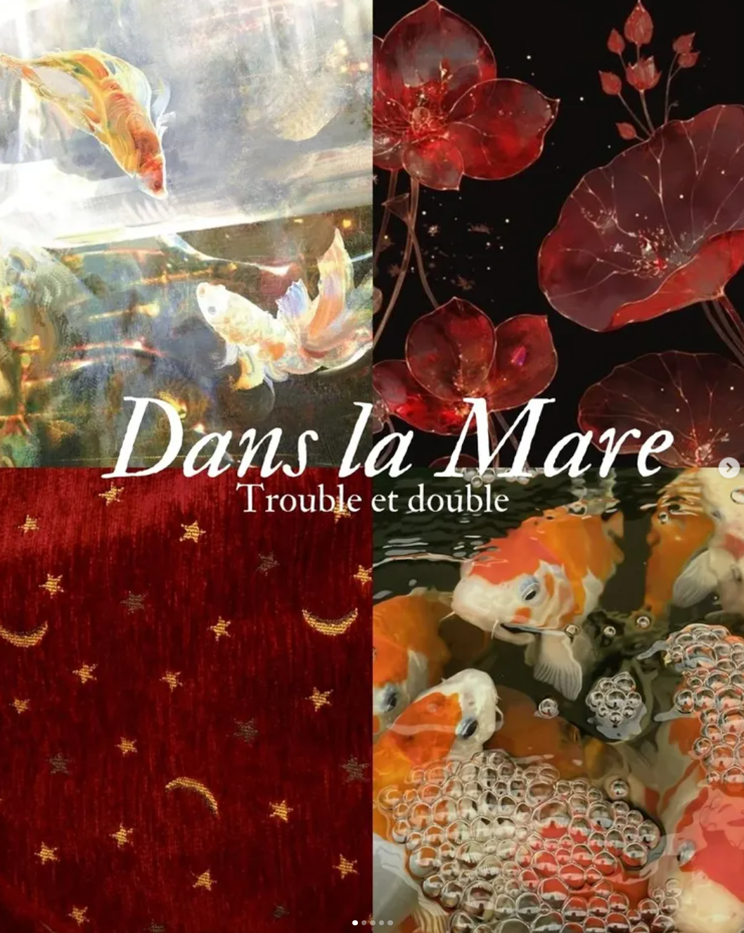 Dans la Mare