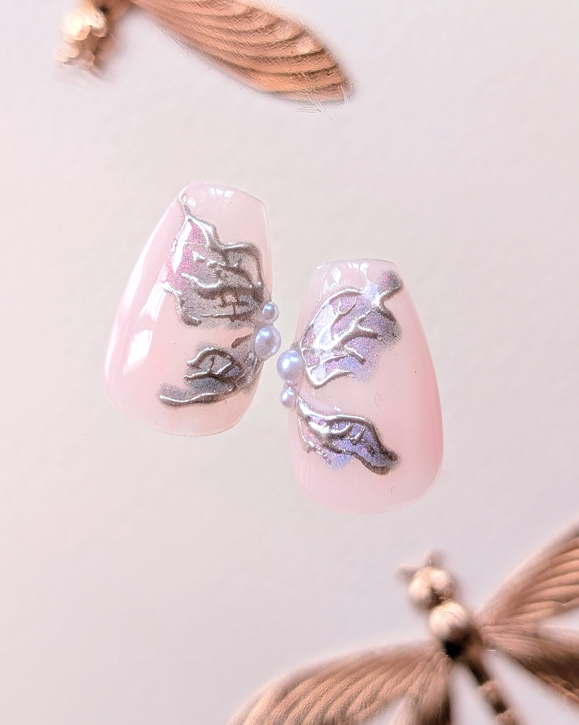 Papillon Boréal