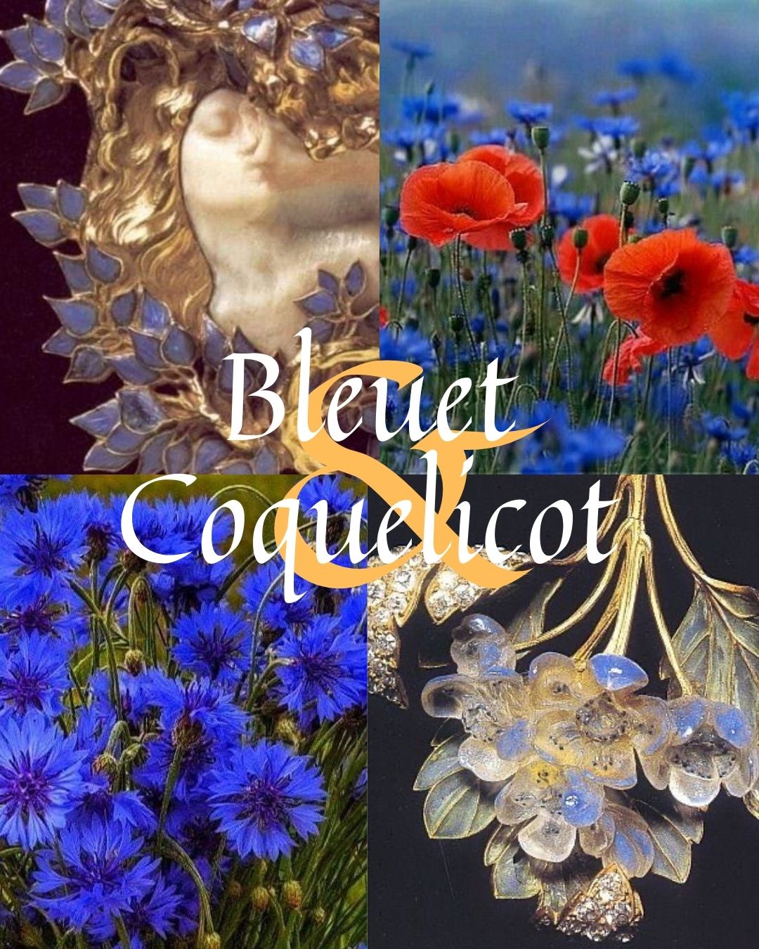 Bleuet & Coquelicot