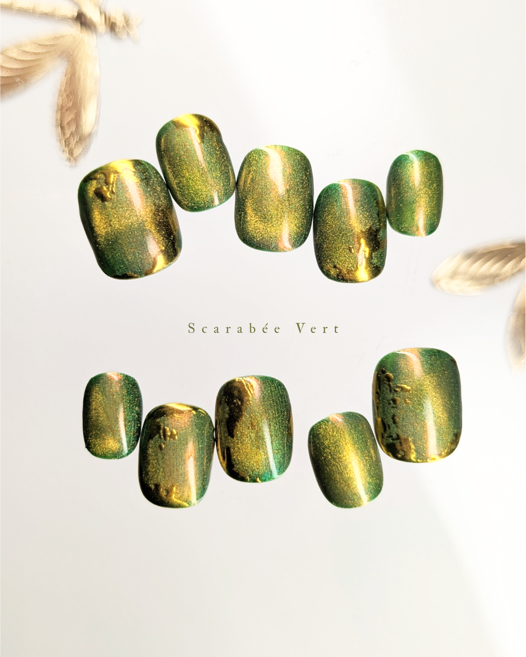Scarabée Vert